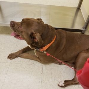 Meet your Posher, Tabitha